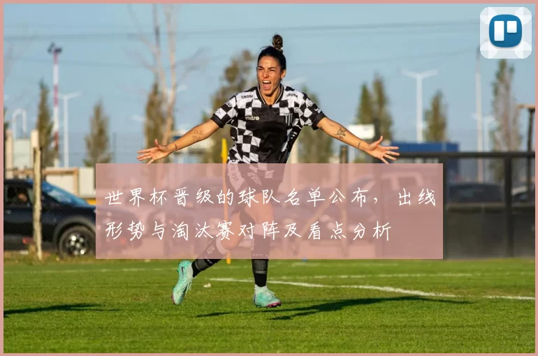 世界杯晋级的球队名单公布,出线形势与淘汰赛对阵及看点分析