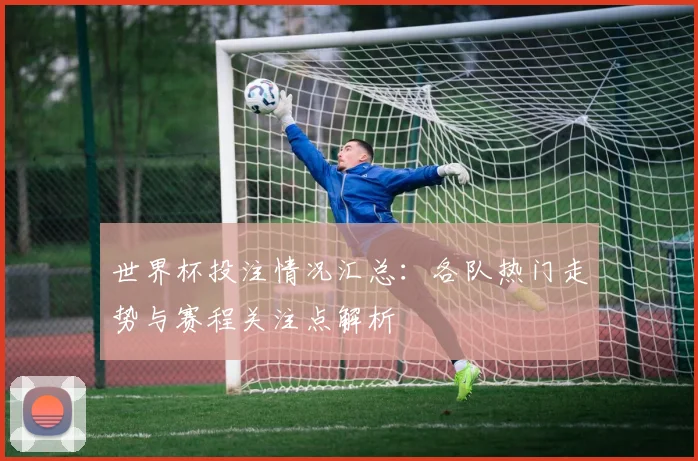 世界杯投注情况汇总：各队热门走势与赛程关注点解析