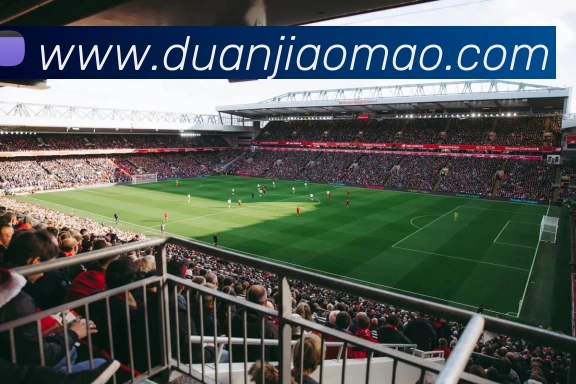 今年会app官网登录入口 - 今年会(中国)平台生态图